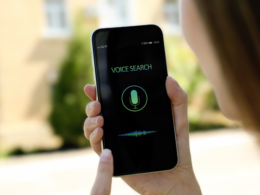 voice search in SEO